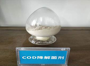 COD高效降解菌剂